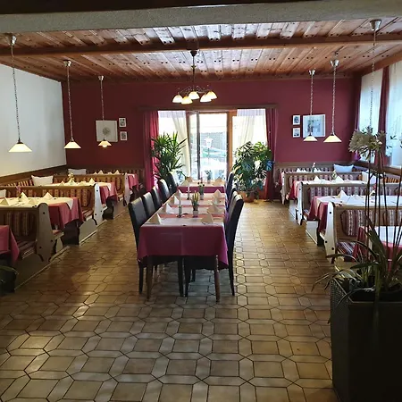 International 2* Hieflau