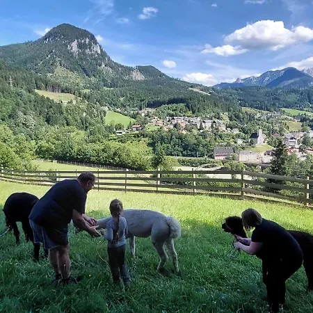 International Hieflau