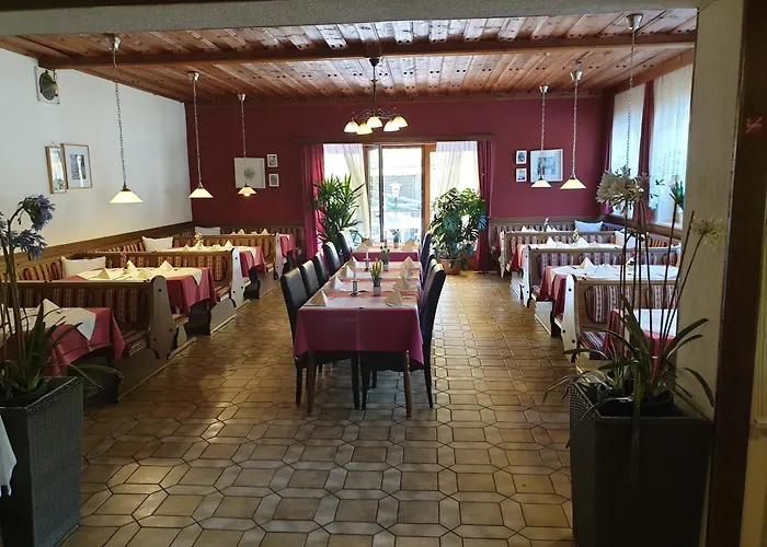 International 2* Hieflau