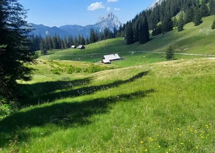 فندق International 2*