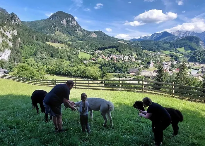 International Hieflau